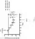 Fig. 15 - Compositions and Methods for Treating or Preventing Gut Permeability-Related Disorders
