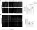 Fig. 26 - Compositions and Methods for Treating or Preventing Gut Permeability-Related Disorders
