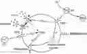 Fig. 01 - COMPOSITIONS AND METHODS FOR INTRACELLULAR IRON DISPLACEMENT PROTEINS