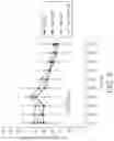 Fig. 05 - METHODS AND COMPOSITIONS FOR USING CINNAMALDEHYDE AND ZINC FOR WEIGHT MANAGEMENT