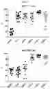 Fig. 03 - CELL COMPOSITION, METHOD FOR PRODUCING SAME, AND PHARMACEUTICAL COMPOSITION FOR PREVENTING OR TREATING ATOPIC DISEASE COMPRISING SAME