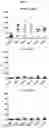 Fig. 04 - CELL COMPOSITION, METHOD FOR PRODUCING SAME, AND PHARMACEUTICAL COMPOSITION FOR PREVENTING OR TREATING ATOPIC DISEASE COMPRISING SAME