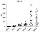 Fig. 05 - CELL COMPOSITION, METHOD FOR PRODUCING SAME, AND PHARMACEUTICAL COMPOSITION FOR PREVENTING OR TREATING ATOPIC DISEASE COMPRISING SAME