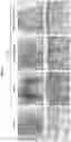 Fig. 09 - CELL COMPOSITION, METHOD FOR PRODUCING SAME, AND PHARMACEUTICAL COMPOSITION FOR PREVENTING OR TREATING ATOPIC DISEASE COMPRISING SAME