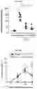 Fig. 10 - CELL COMPOSITION, METHOD FOR PRODUCING SAME, AND PHARMACEUTICAL COMPOSITION FOR PREVENTING OR TREATING ATOPIC DISEASE COMPRISING SAME