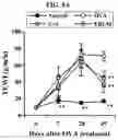 Fig. 13 - CELL COMPOSITION, METHOD FOR PRODUCING SAME, AND PHARMACEUTICAL COMPOSITION FOR PREVENTING OR TREATING ATOPIC DISEASE COMPRISING SAME