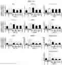 Fig. 31 - CELL COMPOSITION, METHOD FOR PRODUCING SAME, AND PHARMACEUTICAL COMPOSITION FOR PREVENTING OR TREATING ATOPIC DISEASE COMPRISING SAME