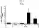 Fig. 32 - CELL COMPOSITION, METHOD FOR PRODUCING SAME, AND PHARMACEUTICAL COMPOSITION FOR PREVENTING OR TREATING ATOPIC DISEASE COMPRISING SAME