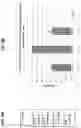 Fig. 12 - SIGNALING PLATFORMS FOR CHIMERIC ANTIGEN RECEPTOR T CELLS
