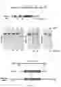 Fig. 12 - COMPOSITIONS AND METHODS FOR ENHANCED LYMPHOCYTE-MEDIATED IMMUNOTHERAPY