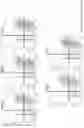 Fig. 25 - Notch receptors with hinge domain