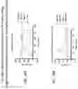 Fig. 40 - Notch receptors with hinge domain