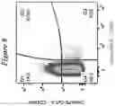Fig. 10 - Restimulation of cryopreserved tumor infiltrating lymphocytes
