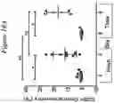Fig. 12 - Restimulation of cryopreserved tumor infiltrating lymphocytes