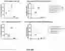 Fig. 06 - ADMINISTRATION OF TUMOR INFILTRATING LYMPHOCYTES WITH MEMBRANE BOUND INTERLEUKIN 15 TO TREAT CANCER
