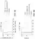 Fig. 07 - FUSION POLYPEPTIDE FOR IMMUNOTHERAPY