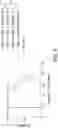 Fig. 09 - FUSION POLYPEPTIDE FOR IMMUNOTHERAPY