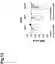 Fig. 14 - PHARMACEUTICAL COMPOSITION FOR TREATING AMYOTROPHIC LATERAL SCLEROSIS