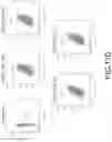 Fig. 12 - COMPOSITIONS DERIVED FROM HUMAN AMNION CELLS & RELATED METHODS