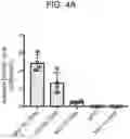 Fig. 05 - COMPOSITIONS AND METHODS FOR TREATING NEUROCOGNITIVE DISORDERS