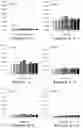 Fig. 04 - LIQUID PROPOLIS EXTRACT, ITS FORMULATION AND USE THEREOF