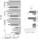 Fig. 101 - Compositions and methods for the induction of CD8+ T-cells