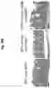 Fig. 115 - Compositions and methods for the induction of CD8+ T-cells