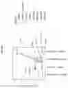 Fig. 124 - Compositions and methods for the induction of CD8+ T-cells