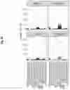 Fig. 125 - Compositions and methods for the induction of CD8+ T-cells