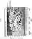 Fig. 13 - Compositions and methods for the induction of CD8+ T-cells
