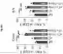 Fig. 134 - Compositions and methods for the induction of CD8+ T-cells