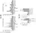 Fig. 48 - Compositions and methods for the induction of CD8+ T-cells