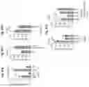 Fig. 57 - Compositions and methods for the induction of CD8+ T-cells