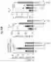 Fig. 63 - Compositions and methods for the induction of CD8+ T-cells