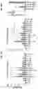Fig. 80 - Compositions and methods for the induction of CD8+ T-cells