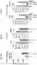 Fig. 85 - Compositions and methods for the induction of CD8+ T-cells