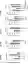 Fig. 90 - Compositions and methods for the induction of CD8+ T-cells