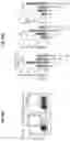 Fig. 95 - Compositions and methods for the induction of CD8+ T-cells