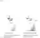 Fig. 03 - MUSCLE-MODIFYING AGENT