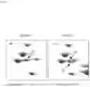 Fig. 04 - MUSCLE-MODIFYING AGENT