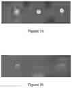 Fig. 02 - FEED ADDITIVE FORMULATION AND METHODS OF MAKING AND USING THE SAME