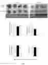 Fig. 04 - Recombinant Bacteria And Uses Thereof