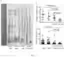 Fig. 08 - Recombinant Bacteria And Uses Thereof