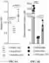 Fig. 04 - METHOD AND COMPOSITION FOR TREATING GASTROINTESTINAL INFLAMMATORY DISORDERS