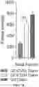 Fig. 07 - METHOD AND COMPOSITION FOR TREATING GASTROINTESTINAL INFLAMMATORY DISORDERS