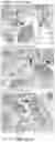 Fig. 19 - METHOD AND COMPOSITION FOR TREATING GASTROINTESTINAL INFLAMMATORY DISORDERS
