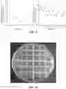 Fig. 06 - MULTI-LACTOBACILLUS COMPOSITION AND APPLICATION THEREOF TO VAGINAL HEALTH OF FEMALES