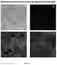 Fig. 10 - A MODIFIED ONCOLYTIC VIRUS, COMPOSITION AND USE THEREOF