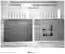 Fig. 12 - A MODIFIED ONCOLYTIC VIRUS, COMPOSITION AND USE THEREOF