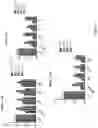 Fig. 23 - A MODIFIED ONCOLYTIC VIRUS, COMPOSITION AND USE THEREOF